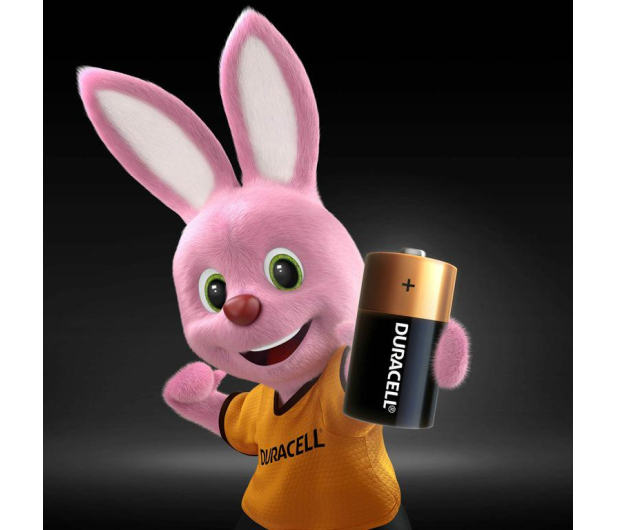 Duracell Basic C/LR14 2 szt. - 317581 - zdjęcie 5
